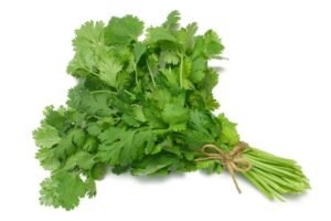 Coriander Leaves - 1 Bunch
