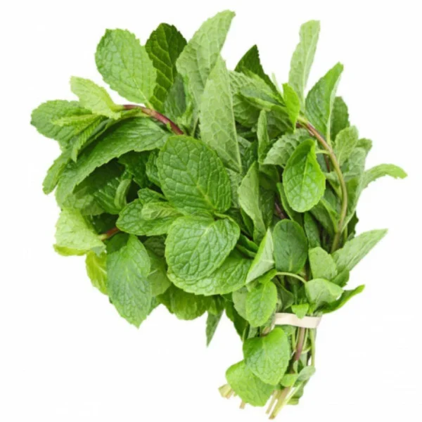 Mint Leaves (Pudina) - 1 Bunch