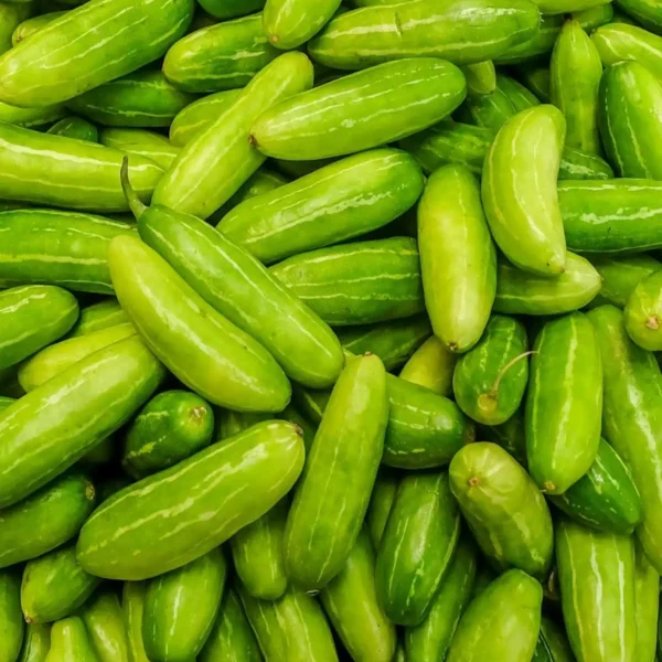 Tindora (Ivy Gourd) 250g