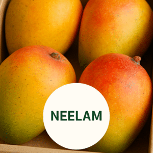 Neelam Mangoes Big Box Approx 3 kg/ 10pcs