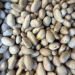 Jackfruit Seeds 250G