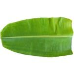 BANANA LEAF