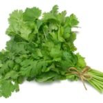 Coriander Leaves - 1 Bunch