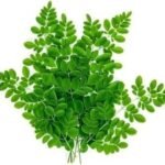 Drumstick Leaves (Moringa Leaves) 250g
