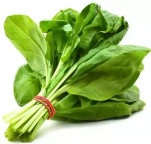 Indian Spinach (Ari Keerai / Totakura) 250g