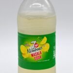 7UP Nimbooz Masala Soda 250ML