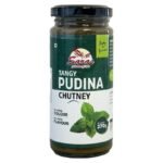 SARAS TANGY PUDINA(MINT) CHUTNEY 270G