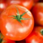 Tomato - 1kg